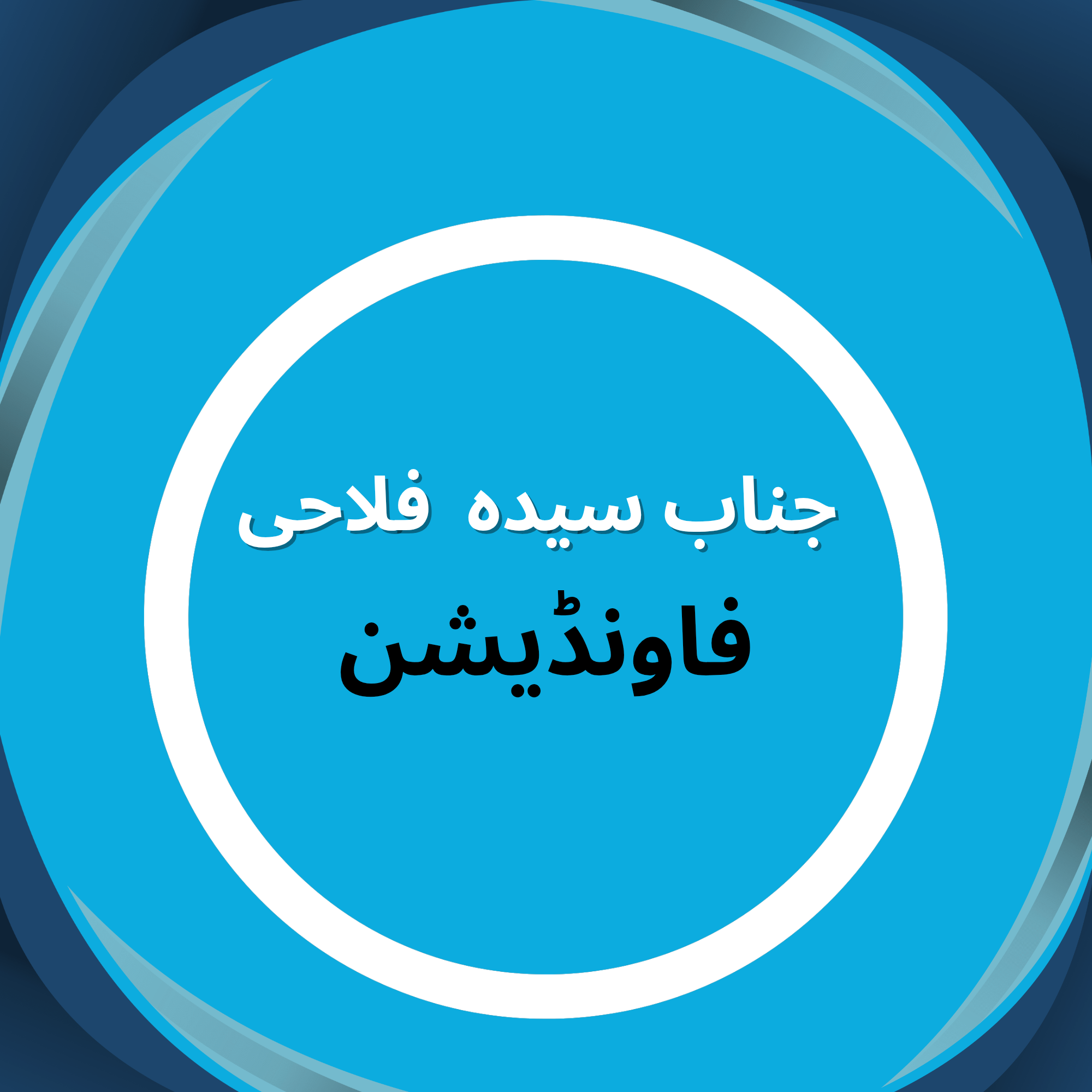 janab e syeda welfare foundation